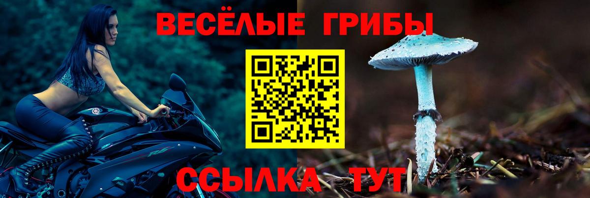 Галлюциногенные грибы Cubensis Борисоглебск